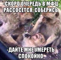 -скоро очередь в мфц рассосется, соберись -дайте мне умереть спокойно