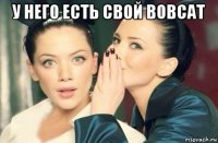 у него есть свой bobcat 