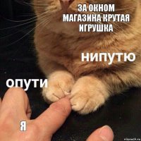 за окном магазина крутая игрушка я