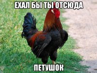 ехал бы ты отсюда петушок