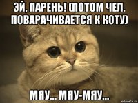 эй, парень! (потом чел. поварачивается к коту) мяу... мяу-мяу...