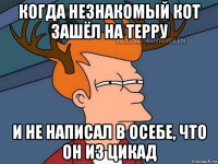 когда незнакомый кот зашёл на терру и не написал в осебе, что он из цикад