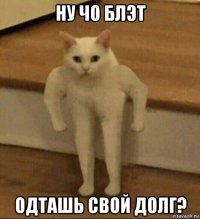 ну чо блэт одташь свой долг?