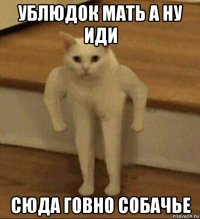 ублюдок мать а ну иди сюда говно собачье