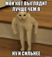 мой кот выглядит лучше чем я ну и сильнее