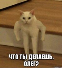  что ты делаешь, олег?