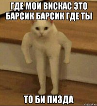 где мои вискас это барсик барсик где ты то би пизда