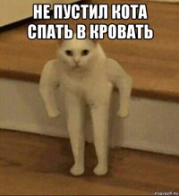 не пустил кота спать в кровать 