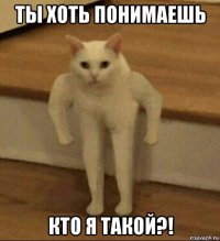 ты хоть понимаешь кто я такой?!