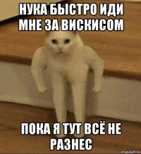 нука быстро иди мне за вискисом пока я тут всё не разнес