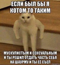 если был бы я котом то таким мускулистым и сексуальным и ты решил отдать часть себя на шаурму и ты её съел