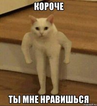 короче ты мне нравишься