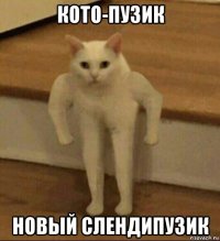 кото-пузик новый слендипузик