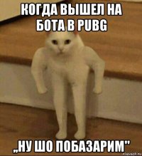 когда вышел на бота в pubg ,,ну шо побазарим"