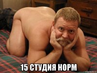  15 студия норм