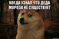 когда узнал что деда мороза не существует 