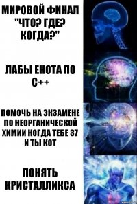 мировой финал "Что? Где? Когда?" Лабы Енота по С++ помочь на экзамене по неорганической химии когда тебе 37 и ты кот понять кристалликса