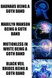 bauhaus being a goth band marilyn manson being a goth band motionless in white being a goth band black veil brides being a goth band