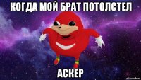 когда мой брат потолстел аскер