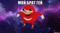 мой брат гей 