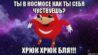 ты в космосе как ты себя чуствуешь? хрюк хрюк бля!!!