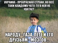 украина - прекрасная страна, но всё таки каждому чего-то в ней не хватает народу - газа, пете и его друзьям - мозгов...