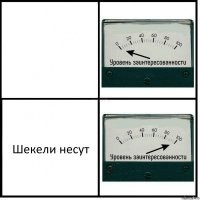  Шекели несут