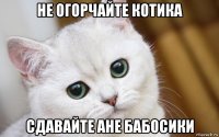 не огорчайте котика сдавайте ане бабосики