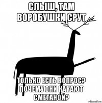 слыш, там воробушки срут только есть вопрос? почему они какают сметаной?