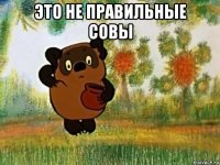 это не правильные совы 