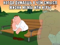 когда думаешь в чём смысл жизни мемы или игры 