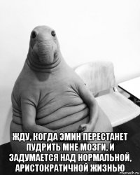  жду, когда эмин перестанет пудрить мне мозги, и задумается над нормальной, аристократичной жизнью