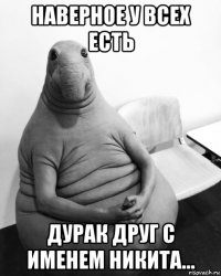 наверное у всех есть дурак друг с именем никита...