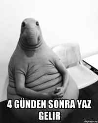  4 günden sonra yaz gelir