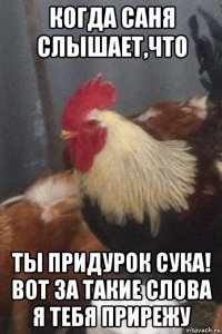 когда саня слышает,что ты придурок сука! вот за такие слова я тебя прирежу