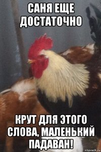 саня еще достаточно крут для этого слова, маленький падаван!