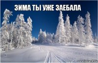  зима ты уже заебала