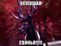 охуевшая свинья!!!!!