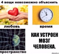 как устроен мозг человека.