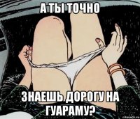 а ты точно знаешь дорогу на гуараму?