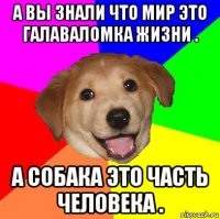 а вы знали что мир это галаваломка жизни . а собака это часть человека .