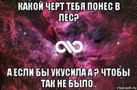 какой черт тебя понес в лес? а если бы укусила а ? чтобы так не было .