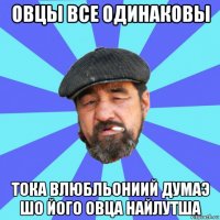 овцы все одинаковы тока влюбльониий думаэ шо його овца найлутша