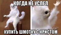 когда не успел купить шмотку с кристом