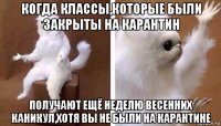 когда классы,которые были закрыты на карантин получают ещё неделю весенних каникул,хотя вы не были на карантине