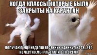 когда классы,которые были закрыты на карантин получают ещё неделю весенних каникул,хотя...это не честно,мы работали в то время