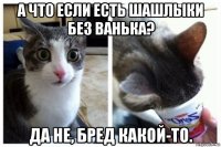 а что если есть шашлыки без ванька? да не, бред какой-то.