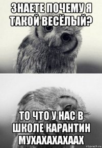 знаете почему я такой весёлый? то что у нас в школе карантин мухахахахаах