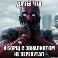 да ты что я борщ с эвкалиптом не перепутал