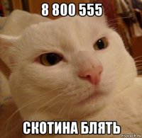 8 800 555 скотина блять